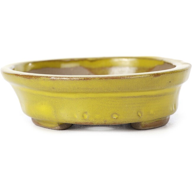Vaso bonsai giallo ovale di Seto - 105 x 85 x 25 mm