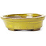 Pot à bonsaï ovale jaune par Seto - 105 x 85 x 25 mm