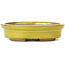 Oval yellow bonsai pot by Seto - 105 x 85 x 25 mm