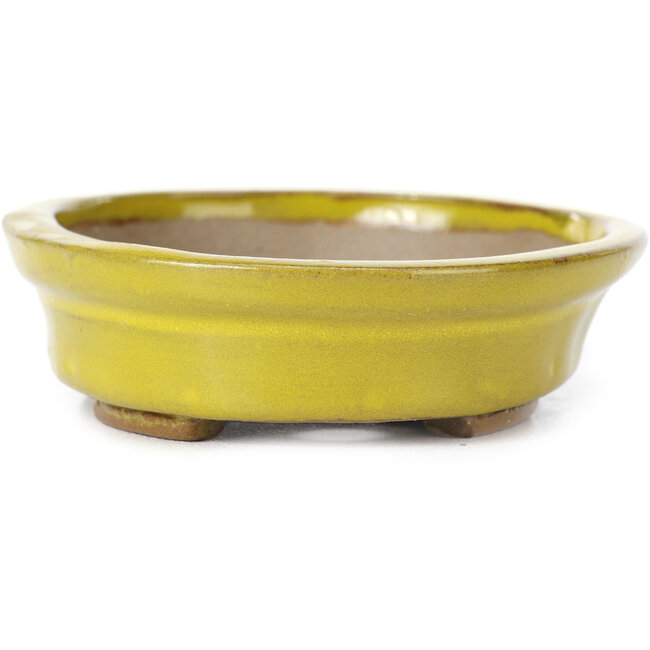 Vaso bonsai giallo ovale di Seto - 105 x 85 x 25 mm