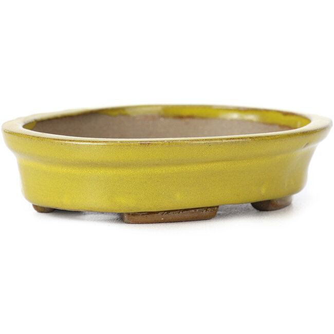 Maceta de bonsái amarilla ovalada de Seto - 105 x 85 x 25 mm