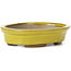 Oval yellow bonsai pot by Seto - 105 x 85 x 25 mm