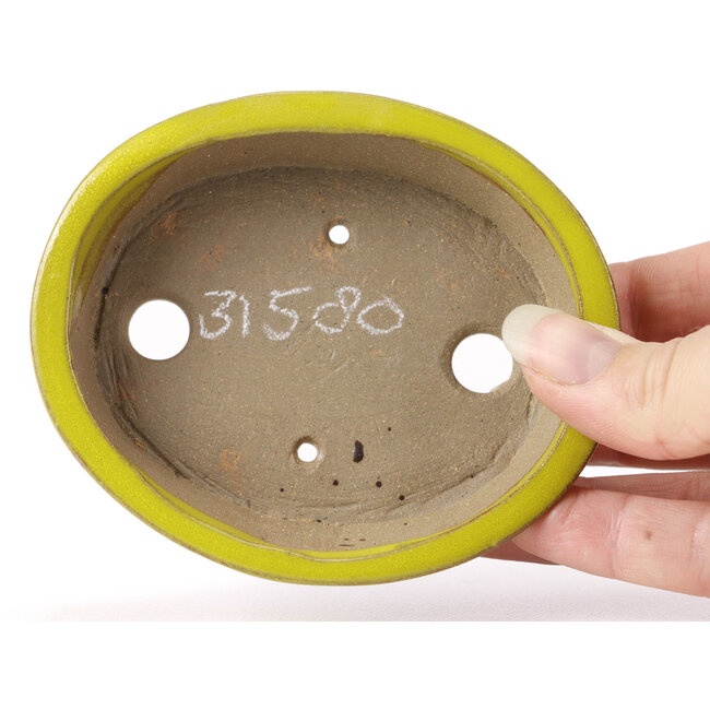 Pot à bonsaï ovale jaune par Seto - 105 x 85 x 25 mm