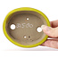 Pot à bonsaï ovale jaune par Seto - 105 x 85 x 25 mm