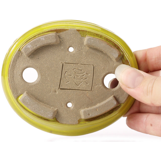 Vaso bonsai giallo ovale di Seto - 105 x 85 x 25 mm