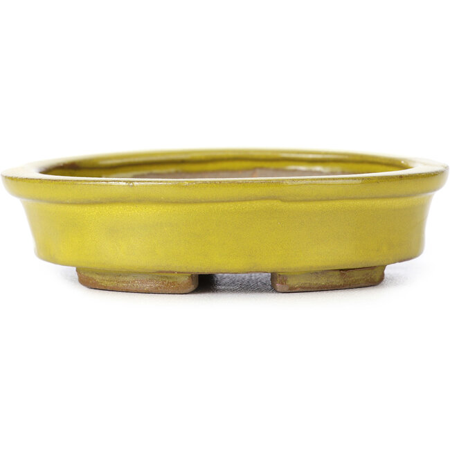 Oval yellow bonsai pot by Seto - 100 x 85 x 25 mm