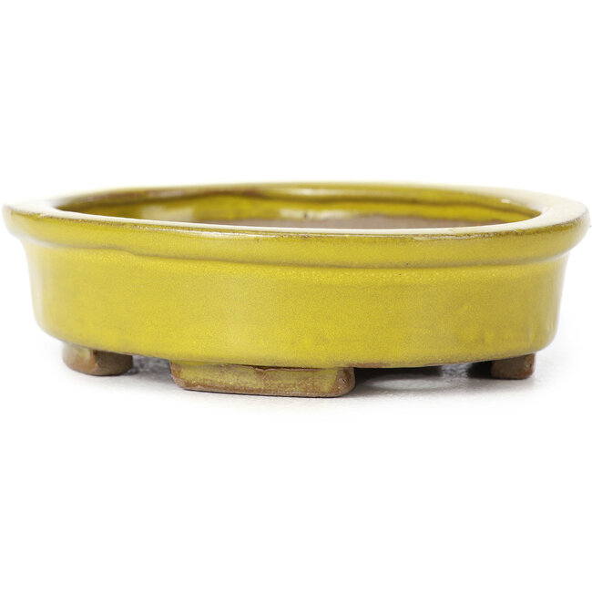 Oval yellow bonsai pot by Seto - 100 x 85 x 25 mm