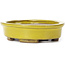 Oval yellow bonsai pot by Seto - 100 x 85 x 25 mm