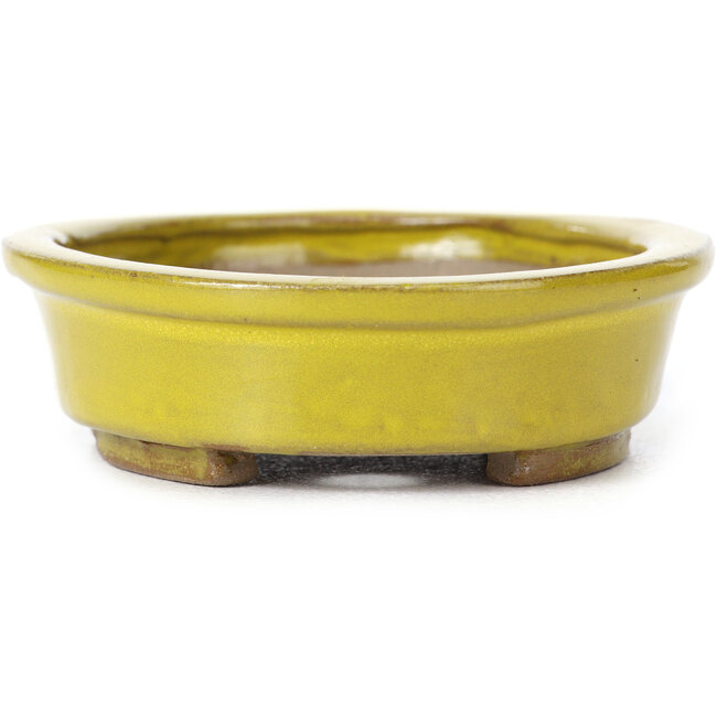 Oval yellow bonsai pot by Seto - 100 x 85 x 25 mm