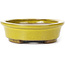 Pot à bonsaï ovale jaune par Seto - 100 x 85 x 25 mm