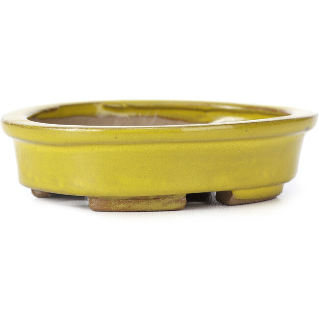 Ovale gelbe Bonsaischale von Seto - 100 x 85 x 25 mm