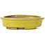 Oval yellow bonsai pot by Seto - 100 x 85 x 25 mm