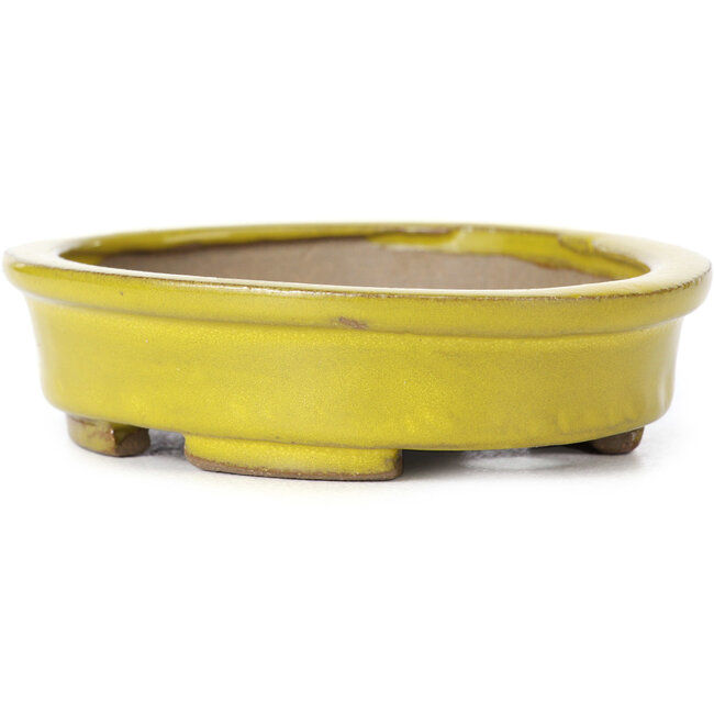Oval yellow bonsai pot by Seto - 100 x 85 x 25 mm