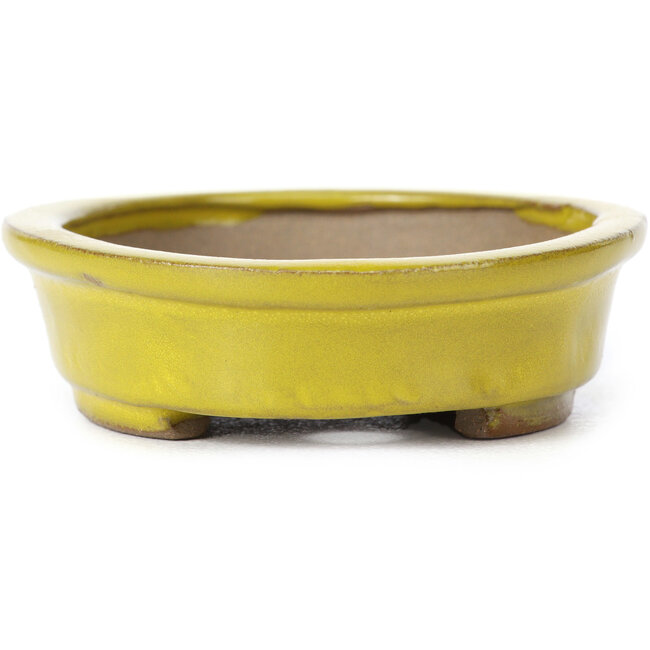 Pot à bonsaï ovale jaune par Seto - 100 x 85 x 25 mm