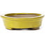 Oval yellow bonsai pot by Seto - 100 x 85 x 25 mm