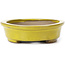 Pot à bonsaï ovale jaune par Seto - 100 x 85 x 25 mm