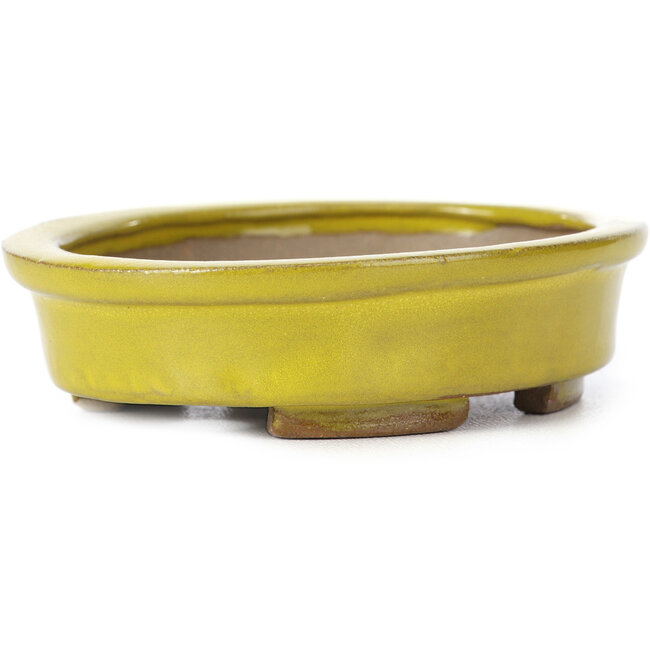 Pot à bonsaï ovale jaune par Seto - 100 x 85 x 25 mm