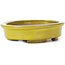 Oval yellow bonsai pot by Seto - 100 x 85 x 25 mm