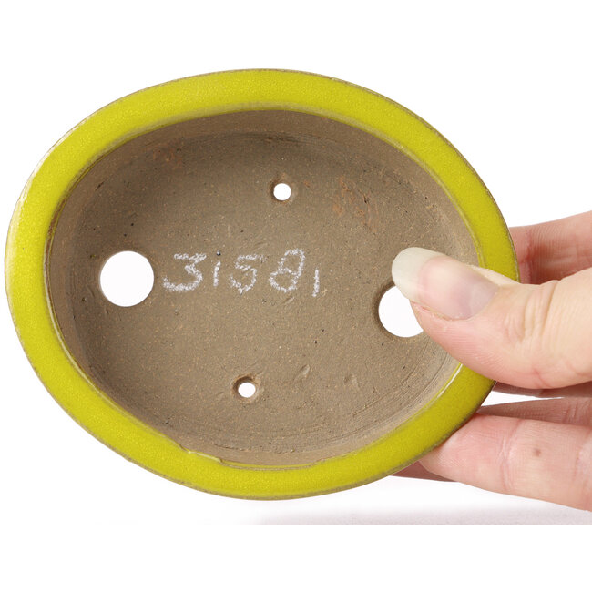 Oval yellow bonsai pot by Seto - 100 x 85 x 25 mm