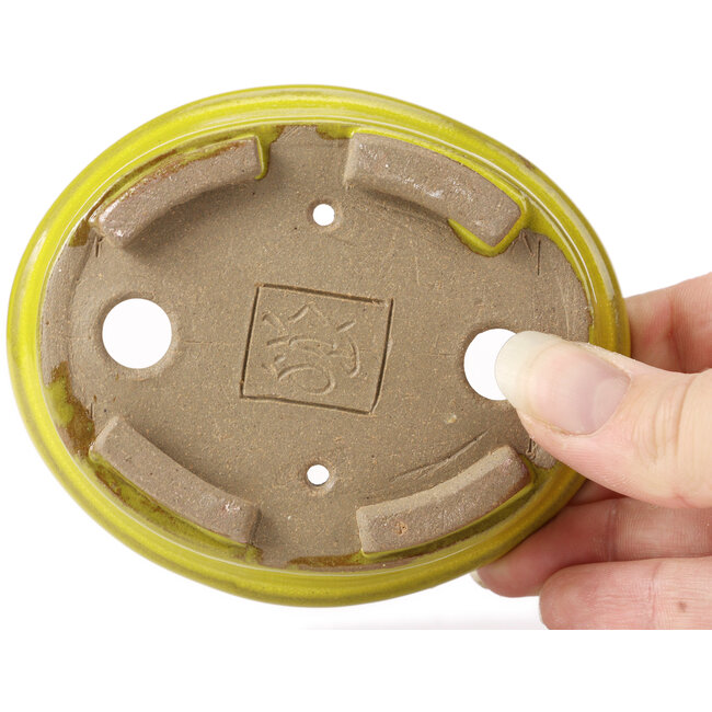 Maceta de bonsái amarilla ovalada de Seto - 100 x 85 x 25 mm