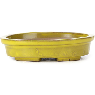 Seto 100 mm oval yellow bonsai pot by Seto, Japan