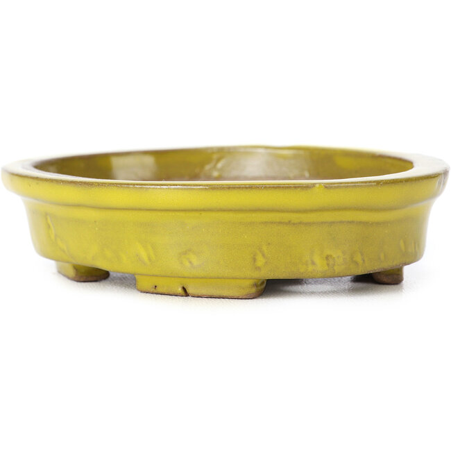 Pot à bonsaï ovale jaune par Seto - 100 x 85 x 25 mm
