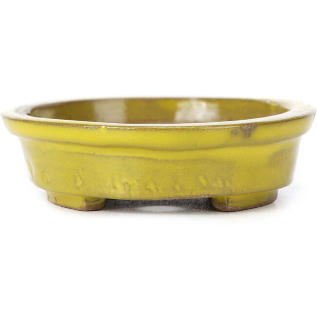 Ovale gelbe Bonsaischale von Seto - 100 x 85 x 25 mm