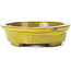 Oval yellow bonsai pot by Seto - 100 x 85 x 25 mm