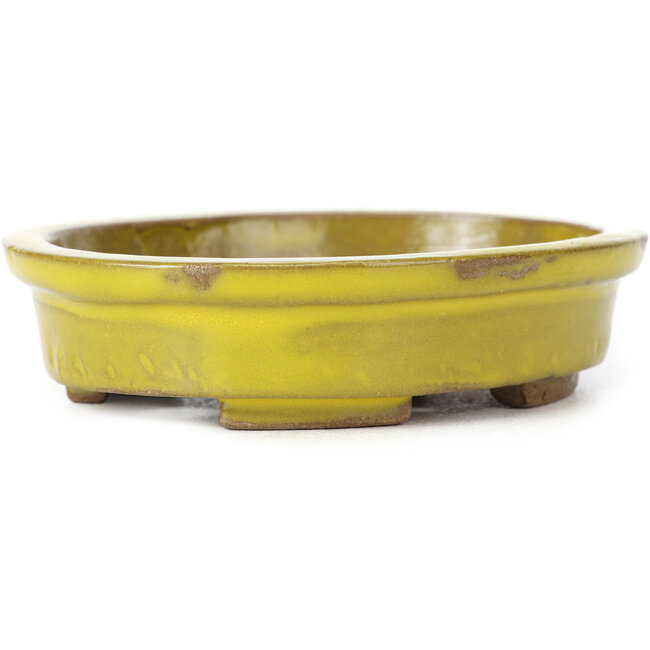 Ovale gele bonsaipot van Seto - 100 x 85 x 25 mm