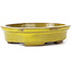 Pot à bonsaï ovale jaune par Seto - 100 x 85 x 25 mm