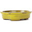 Vaso bonsai giallo ovale di Seto - 100 x 85 x 25 mm