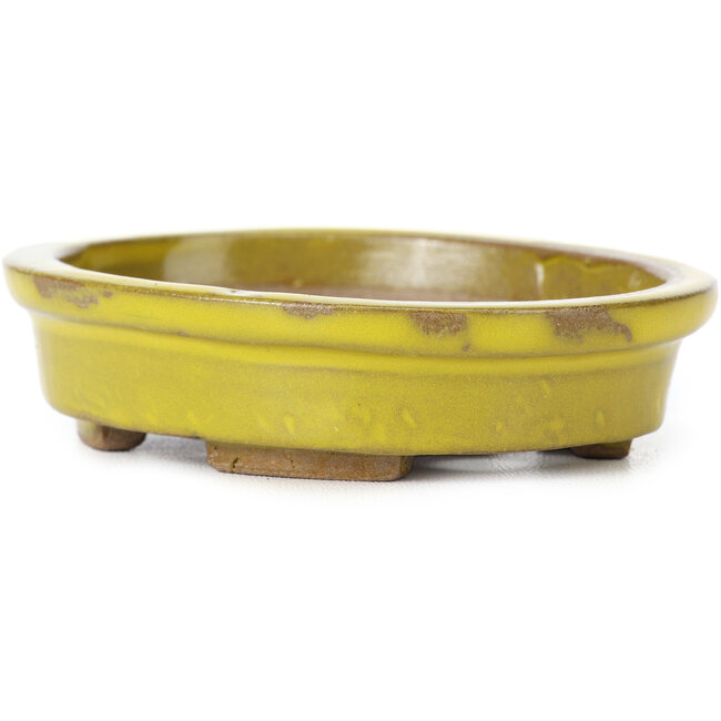 Pot à bonsaï ovale jaune par Seto - 100 x 85 x 25 mm