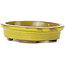 Ovale gelbe Bonsaischale von Seto - 100 x 85 x 25 mm