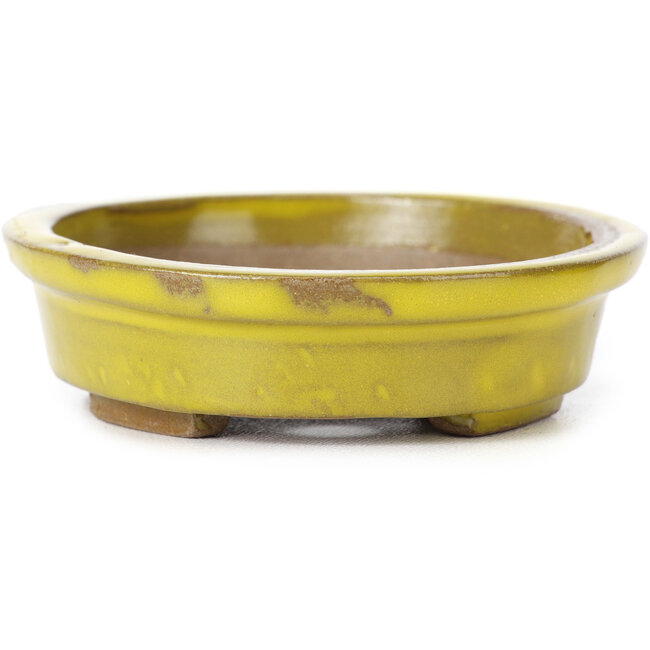 Ovale gele bonsaipot van Seto - 100 x 85 x 25 mm