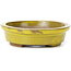 Pot à bonsaï ovale jaune par Seto - 100 x 85 x 25 mm