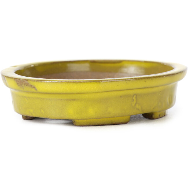 Ovale gelbe Bonsaischale von Seto - 100 x 85 x 25 mm