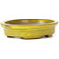 Oval yellow bonsai pot by Seto - 100 x 85 x 25 mm