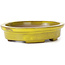 Pot à bonsaï ovale jaune par Seto - 100 x 85 x 25 mm