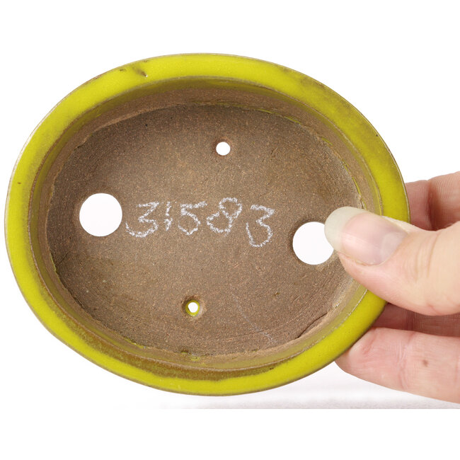 Vaso bonsai giallo ovale di Seto - 100 x 85 x 25 mm