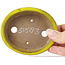 Ovale gelbe Bonsaischale von Seto - 100 x 85 x 25 mm