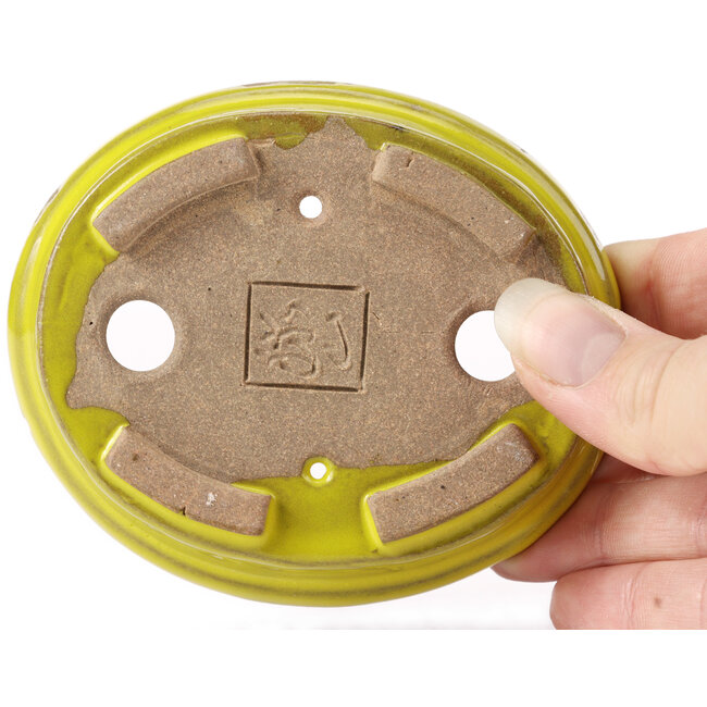 Pot à bonsaï ovale jaune par Seto - 100 x 85 x 25 mm