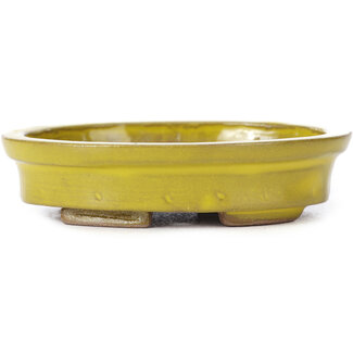 Seto 100 mm oval yellow bonsai pot by Seto, Japan