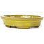 Oval yellow bonsai pot by Seto - 100 x 85 x 25 mm