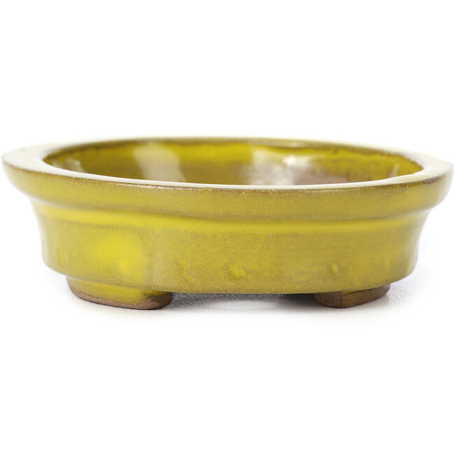 Pot à bonsaï ovale jaune par Seto - 100 x 85 x 25 mm