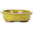 Pot à bonsaï ovale jaune par Seto - 100 x 85 x 25 mm