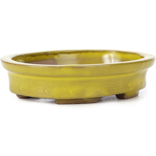 Vaso bonsai giallo ovale di Seto - 100 x 85 x 25 mm