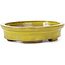 Pot à bonsaï ovale jaune par Seto - 100 x 85 x 25 mm