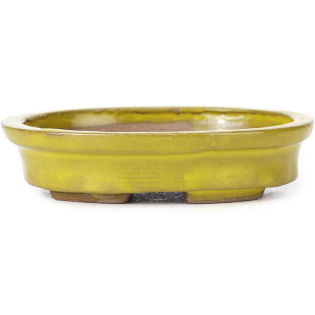 Oval yellow bonsai pot by Seto - 100 x 85 x 25 mm