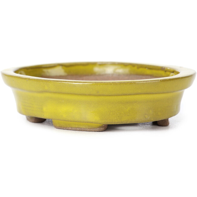 Oval yellow bonsai pot by Seto - 100 x 85 x 25 mm