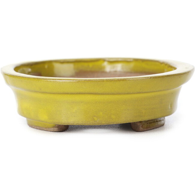 Oval yellow bonsai pot by Seto - 100 x 85 x 25 mm